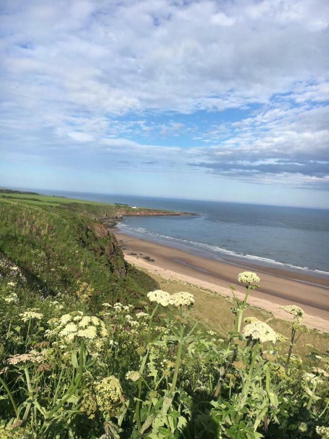 Dunnottar Woods Cottage Stonehaven Exteriör bild